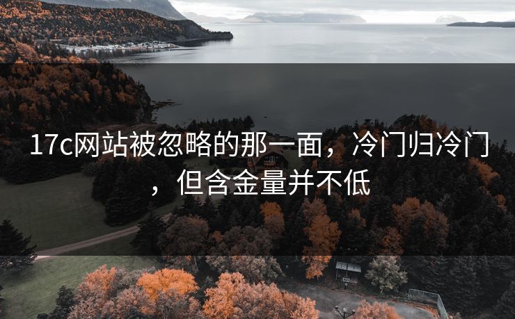 17c网站被忽略的那一面，冷门归冷门，但含金量并不低