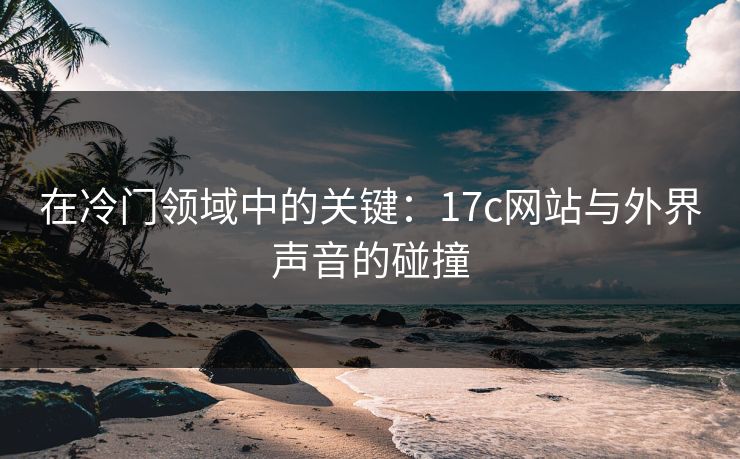 在冷门领域中的关键：17c网站与外界声音的碰撞
