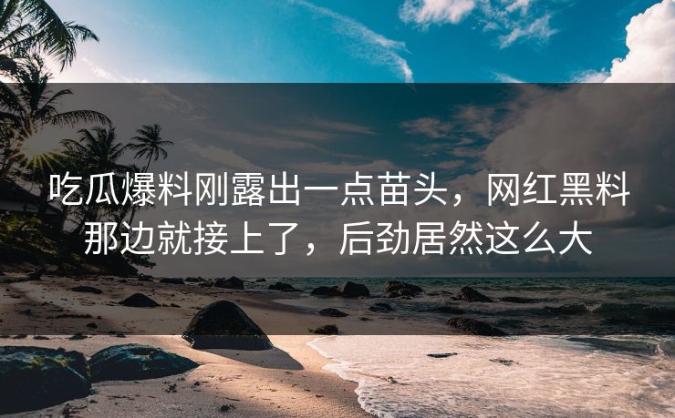 吃瓜爆料刚露出一点苗头，网红黑料那边就接上了，后劲居然这么大