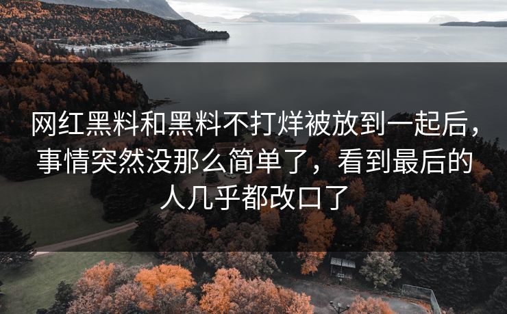 网红黑料和黑料不打烊被放到一起后，事情突然没那么简单了，看到最后的人几乎都改口了