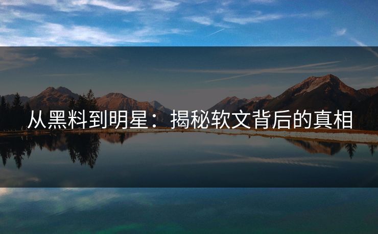 从黑料到明星:揭秘软文背后的真相 从黑料到明星:揭秘软文背后的真相