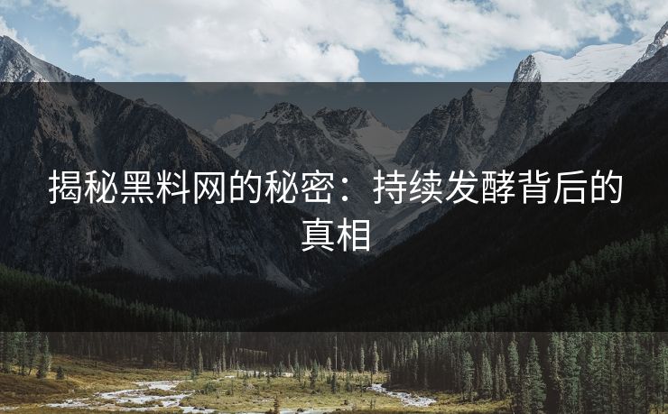 揭秘黑料网的秘密：持续发酵背后的真相