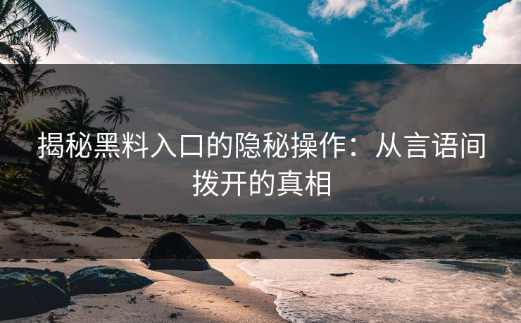 揭秘黑料入口的隐秘操作：从言语间拨开的真相