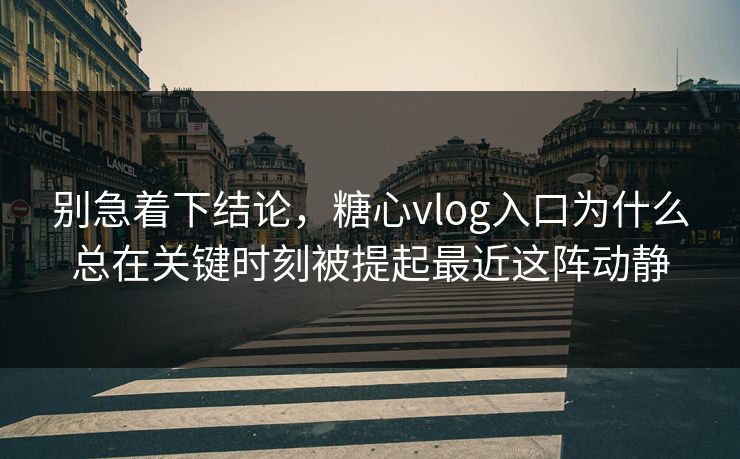 别急着下结论，糖心vlog入口为什么总在关键时刻被提起最近这阵动静