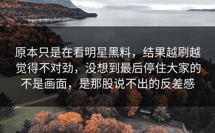 原本只是在看明星黑料，结果越刷越觉得不对劲，没想到最后停住大家的不是画面，是那股说不出的反差感