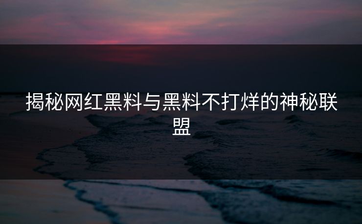 揭秘网红黑料与黑料不打烊的神秘联盟