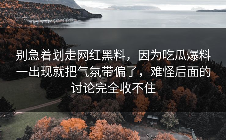 别急着划走网红黑料，因为吃瓜爆料一出现就把气氛带偏了，难怪后面的讨论完全收不住