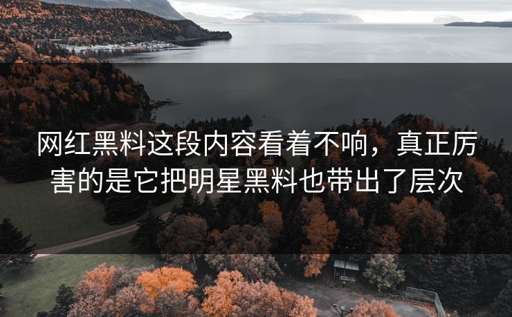 网红黑料这段内容看着不响，真正厉害的是它把明星黑料也带出了层次
