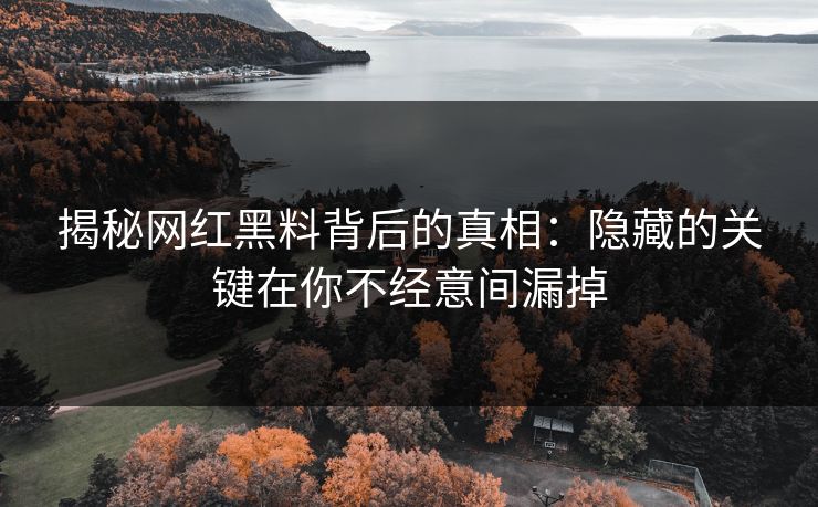 揭秘网红黑料背后的真相：隐藏的关键在你不经意间漏掉
