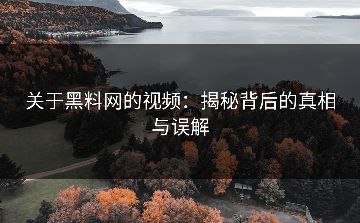 关于黑料网的视频:揭秘背后的真相与误解